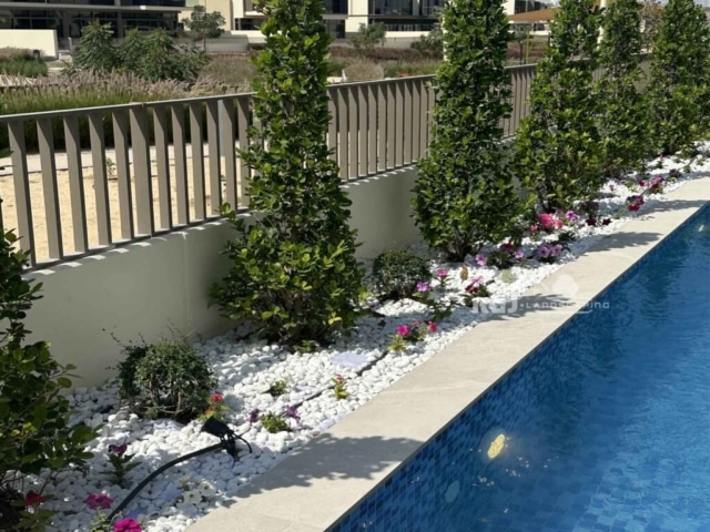 landscaping and stones near pool area