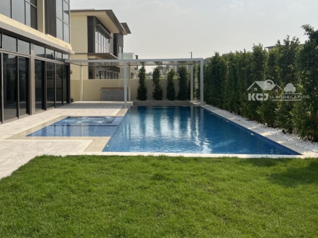swimming pool dubai villa